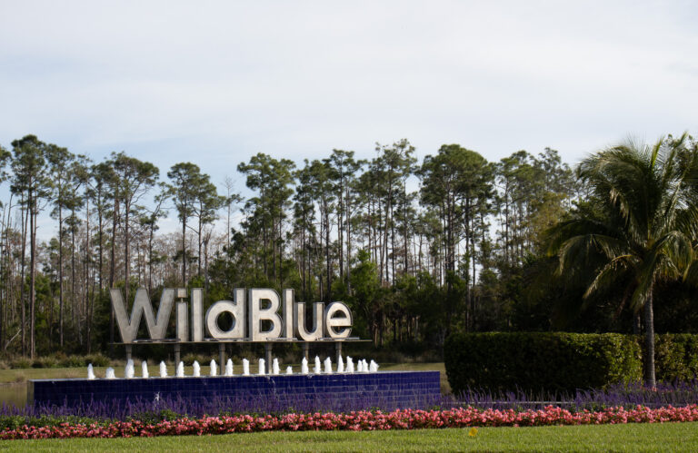 wild Blue Entrance johnrennirtpa